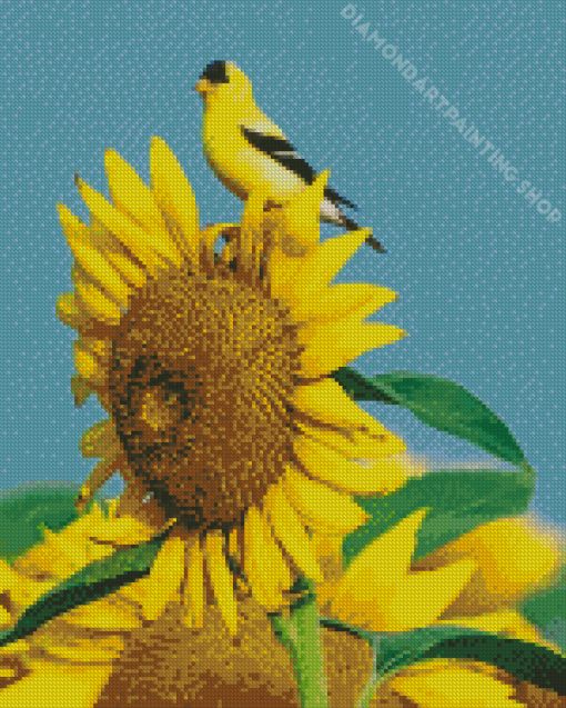 Yellow Finch Bird On Sunflower Diamond Painting