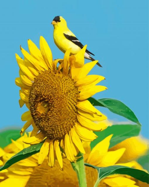 Yellow Finch Bird On Sunflower Diamond Painting