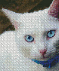 Cute White Cat With Blue Eyes Diamond Painting