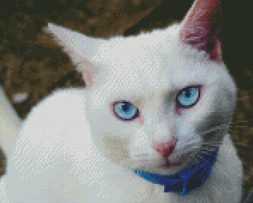 Cute White Cat With Blue Eyes Diamond Painting