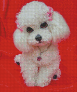 Cute White Poodle Puppy Diamond Painting