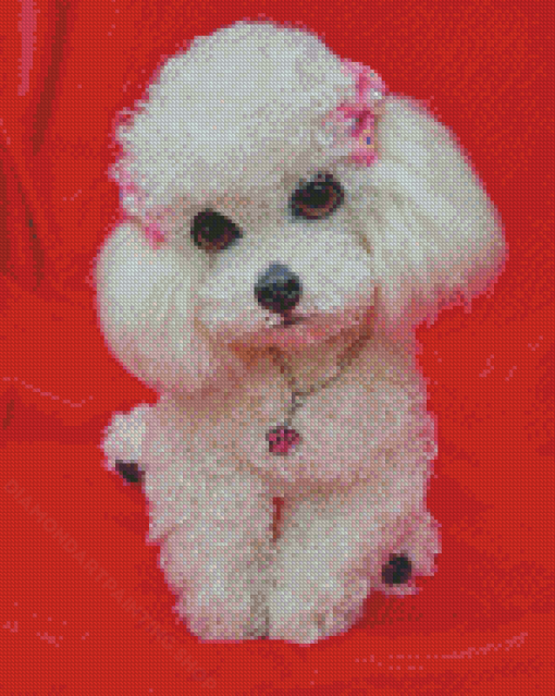 Cute White Poodle Puppy Diamond Painting