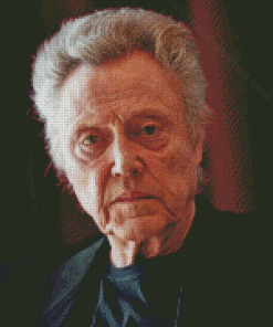 Actor Christopher Walken Diamond Painting