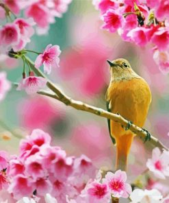 Aesthetic Bird Pink Flower Diamond Painting