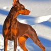 Aesthetic Doberman Pinscher Diamond Painting