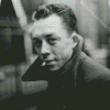 Albert Camus Diamond Painting