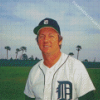 Albert William Kaline Diamond Painting