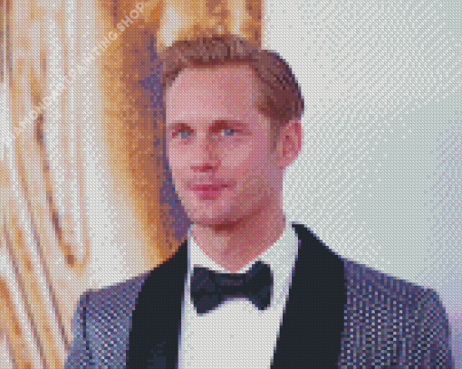 Alexander Skarsgard Actor Diamond Painting