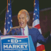 American Ed Markey Diamond Painting