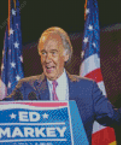 American Ed Markey Diamond Painting