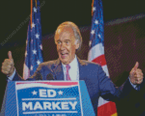 American Ed Markey Diamond Painting