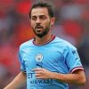 Bernardo Silva Diamond Painting