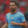 Bernardo Silva Diamond Painting