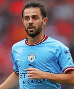 Bernardo Silva Diamond Painting