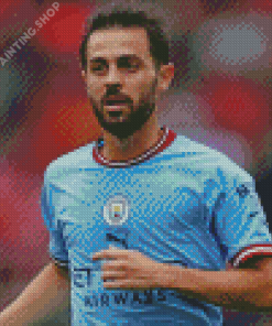 Bernardo Silva Diamond Painting