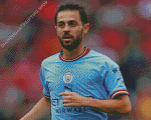 Bernardo Silva Diamond Painting