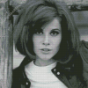 Black And White Stefanie Powers Diamond painting