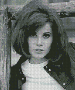 Black And White Stefanie Powers Diamond painting