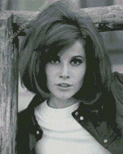 Black And White Stefanie Powers Diamond painting