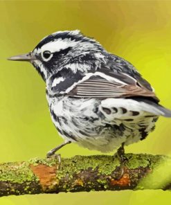 Black And White Sparrow On Tree Diamond Painting