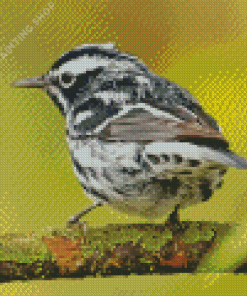 Black And White Sparrow On Tree Diamond Painting