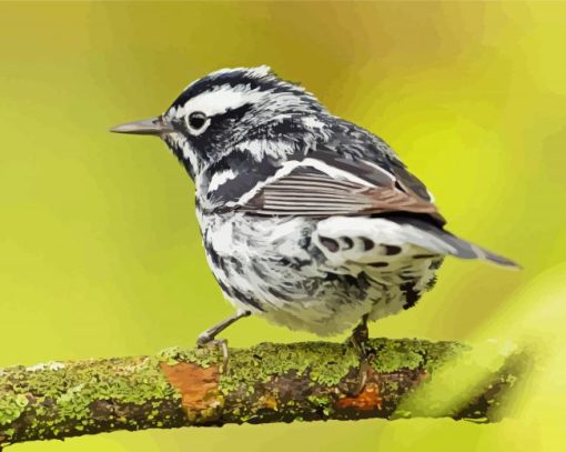 Black And White Sparrow On Tree Diamond Painting