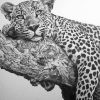 Black And White Cheetah Art Diamond Painting