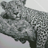 Black And White Cheetah Art Diamond Painting