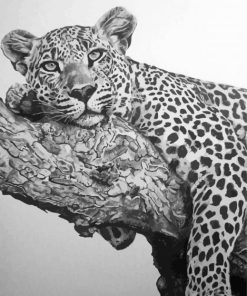 Black And White Cheetah Art Diamond Painting