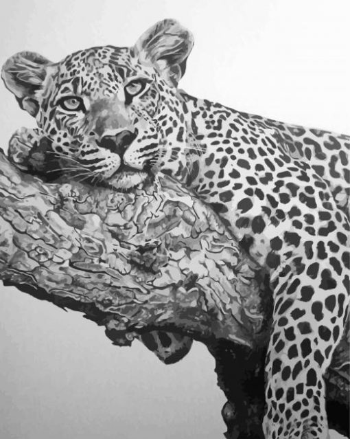 Black And White Cheetah Art Diamond Painting