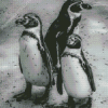 Black And White Penguins Diamond Painting