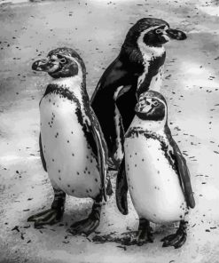 Black And White Penguins Diamond Painting