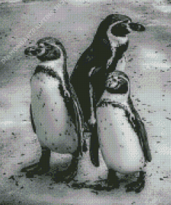 Black And White Penguins Diamond Painting