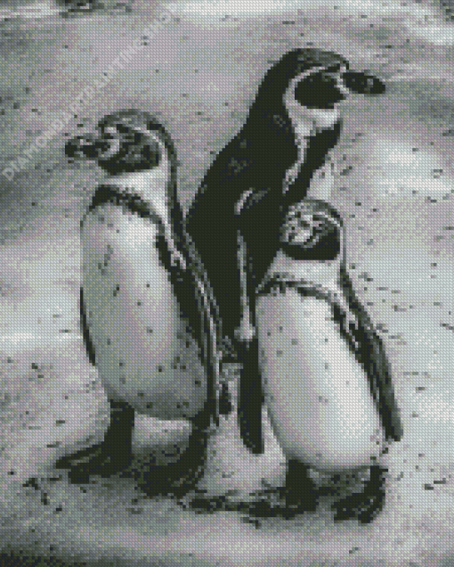 Black And White Penguins Diamond Painting