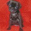 Black Puggle Diamond Painting