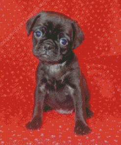 Black Puggle Diamond Painting