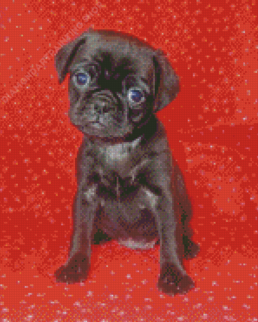 Black Puggle Diamond Painting