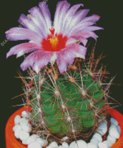 Cactus And Purple Flower Diamond Painting