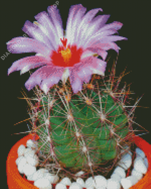 Cactus And Purple Flower Diamond Painting