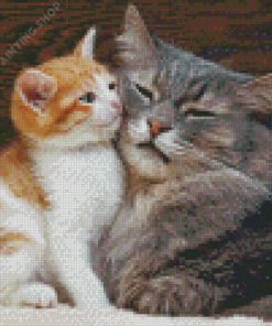 Cat And Kitten Snuggling Diamond Painting