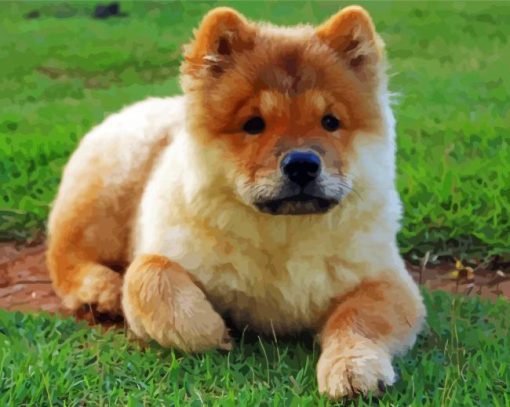 Chow Chow Puppy Diamond Painting