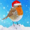 Christmas Robin In Snow Diamond Painting