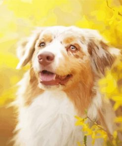 Close Up Blonde Border Collie Diamond Pianting