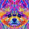 Colorful Pomeranian Dog Art Diamond Painting