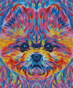 Colorful Pomeranian Dog Art Diamond Painting