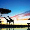 Giraffe With Elephant Silhouette Diamond Painting