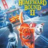 Homeward Bound Poster Art Diamond Painting