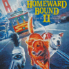 Homeward Bound Poster Art Diamond Painting