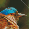 Indian Roller Bird Head Diamond Painting