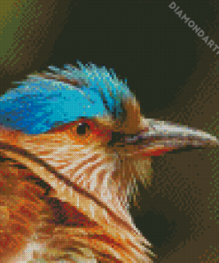 Indian Roller Bird Head Diamond Painting